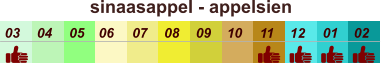 sinaasappel - appelsien  01 02 03 04 07 05 09 10 08 11 12 06