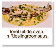 forel uit de oven in Rieslingroomsaus