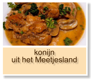 konijn  uit het Meetjesland
