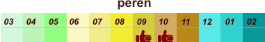 01 02 03 04 07 05 09 10 08 11 12 06 peren
