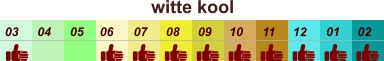 01 02 03 04 07 05 09 10 08 11 12 06 witte kool