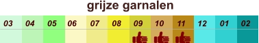 01 02 03 04 07 05 09 10 08 11 12 06 grijze garnalen