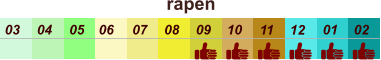 rapen  01 02 03 04 07 05 09 10 08 11 12 06