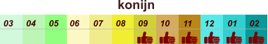 konijn  01 02 03 04 07 05 09 10 08 11 12 06