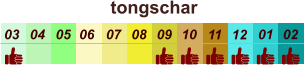 01 02 03 04 07 05 09 10 08 11 12 06 tongschar