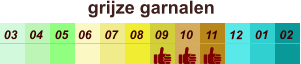 01 02 03 04 07 05 09 10 08 11 12 06 grijze garnalen