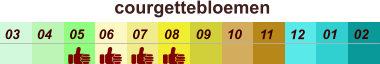 01 02 03 04 07 05 09 10 08 11 12 06 courgettebloemen