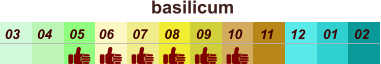 01 02 03 04 07 05 09 10 08 11 12 06 basilicum