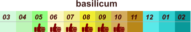 01 02 03 04 07 05 09 10 08 11 12 06 basilicum