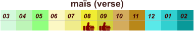 01 02 03 04 07 05 09 10 08 11 12 06 maïs (verse)