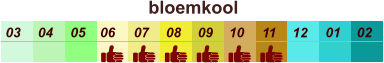 bloemkool  01 02 03 04 07 05 09 10 08 11 12 06