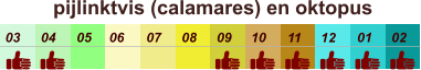 01 02 03 04 07 05 09 10 08 11 12 06 pijlinktvis (calamares) en oktopus