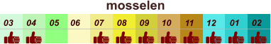 01 02 03 04 07 05 09 10 08 11 12 06 mosselen