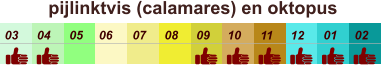 01 02 03 04 07 05 09 10 08 11 12 06 pijlinktvis (calamares) en oktopus