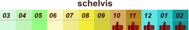 schelvis  01 02 03 04 07 05 09 10 08 11 12 06