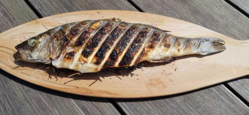 gegrilde zeebaars met Catalaanse aioli