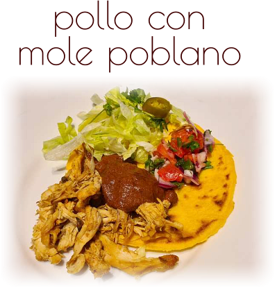 pollo con mole poblano