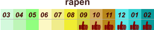 rapen  01 02 03 04 07 05 09 10 08 11 12 06