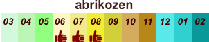 01 02 03 04 07 05 09 10 08 11 12 06 abrikozen