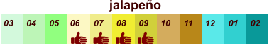 jalapeño  01 02 03 04 07 05 09 10 08 11 12 06