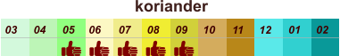 koriander  01 02 03 04 07 05 09 10 08 11 12 06