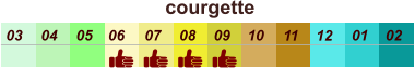 courgette  01 02 03 04 07 05 09 10 08 11 12 06
