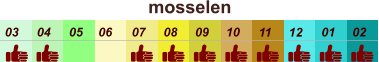 01 02 03 04 07 05 09 10 08 11 12 06 mosselen