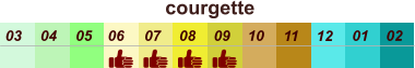 courgette  01 02 03 04 07 05 09 10 08 11 12 06