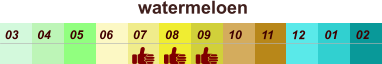 01 02 03 04 07 05 09 10 08 11 12 06 watermeloen