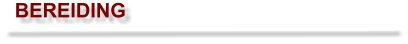 BEREIDING