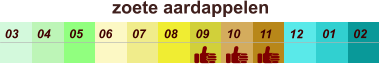 zoete aardappelen  01 02 03 04 07 05 09 10 08 11 12 06