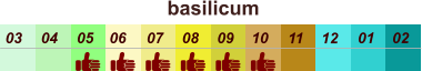 01 02 03 04 07 05 09 10 08 11 12 06 basilicum