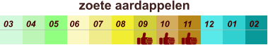 zoete aardappelen  01 02 03 04 07 05 09 10 08 11 12 06