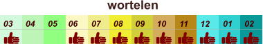 01 02 03 04 07 05 09 10 08 11 12 06 wortelen