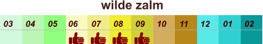 01 02 03 04 07 05 09 10 08 11 12 06 wilde zalm