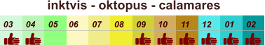 01 02 03 04 07 05 09 10 08 11 12 06 inktvis - oktopus - calamares