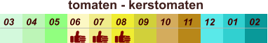 01 02 03 04 07 05 09 10 08 11 12 06 tomaten - kerstomaten
