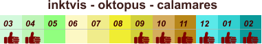 01 02 03 04 07 05 09 10 08 11 12 06 inktvis - oktopus - calamares