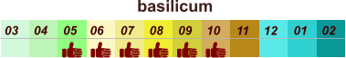 01 02 03 04 07 05 09 10 08 11 12 06 basilicum