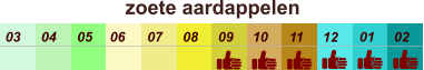 zoete aardappelen  01 02 03 04 07 05 09 10 08 11 12 06