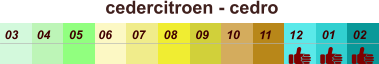 01 02 03 04 07 05 09 10 08 11 12 06 cedercitroen - cedro