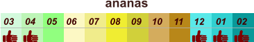 01 02 03 04 07 05 09 10 08 11 12 06 ananas