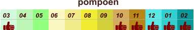 01 02 03 04 07 05 09 10 08 11 12 06 pompoen