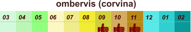 01 02 03 04 07 05 09 10 08 11 12 06 ombervis (corvina)
