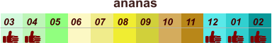 01 02 03 04 07 05 09 10 08 11 12 06 ananas