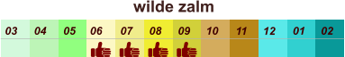 01 02 03 04 07 05 09 10 08 11 12 06 wilde zalm
